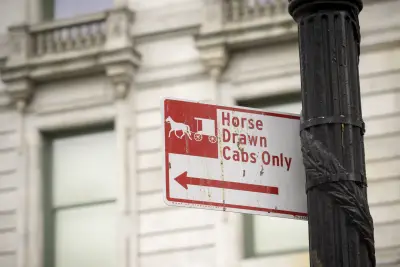Central Park carriage driver pushed collapsed horse ‘too hard,’ prosecutors say at trial